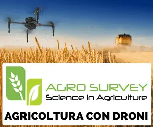 Agricoltura di Precisione con Droni