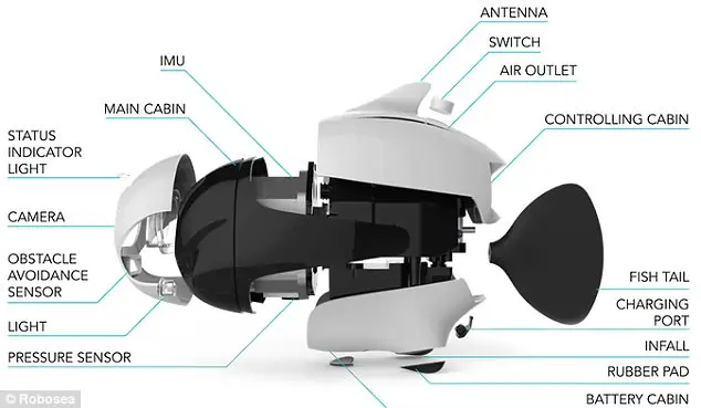 drone sottomarino biki