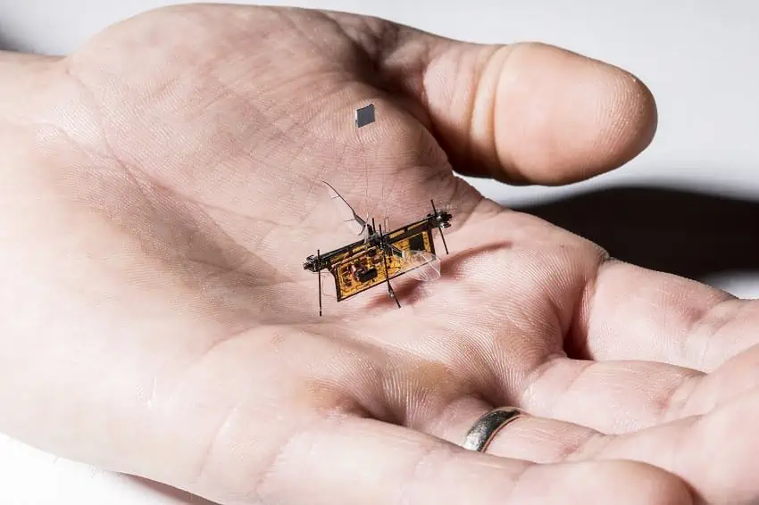 Droni insetto alimentati con un laser