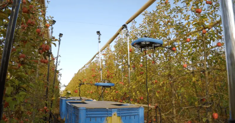 Droni per la raccolta della frutta