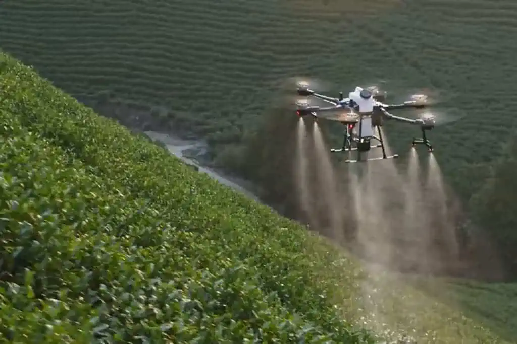 Allevamento di pesci: drone per distribuire cibo