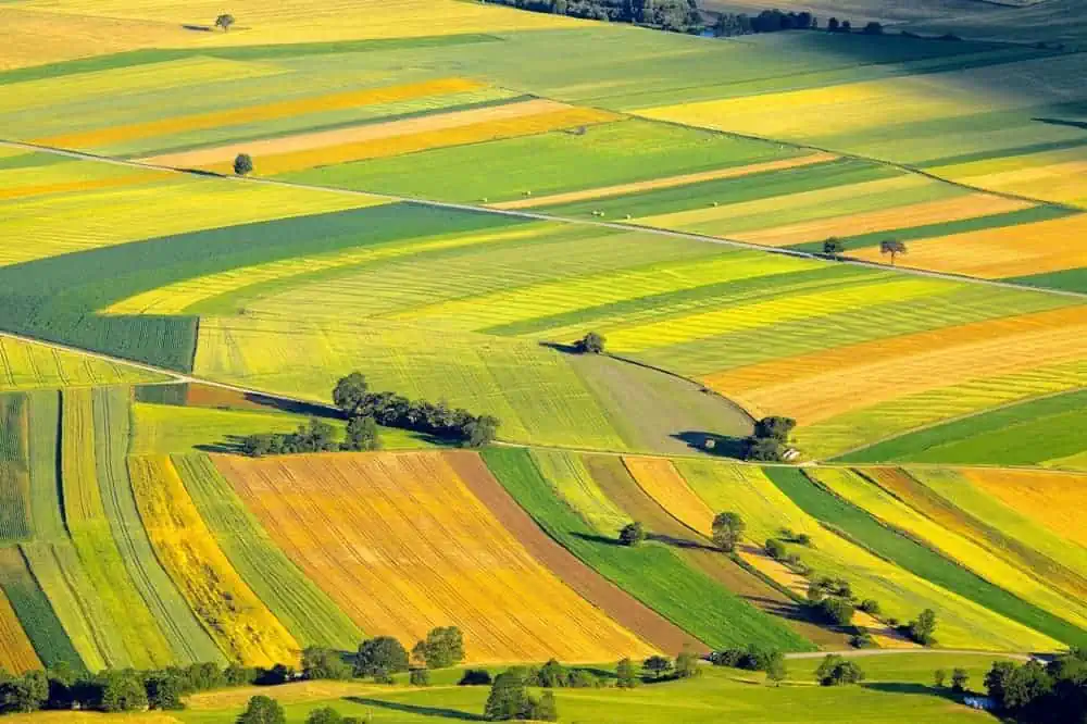 CNR: assegno di ricerca per droni agricoli