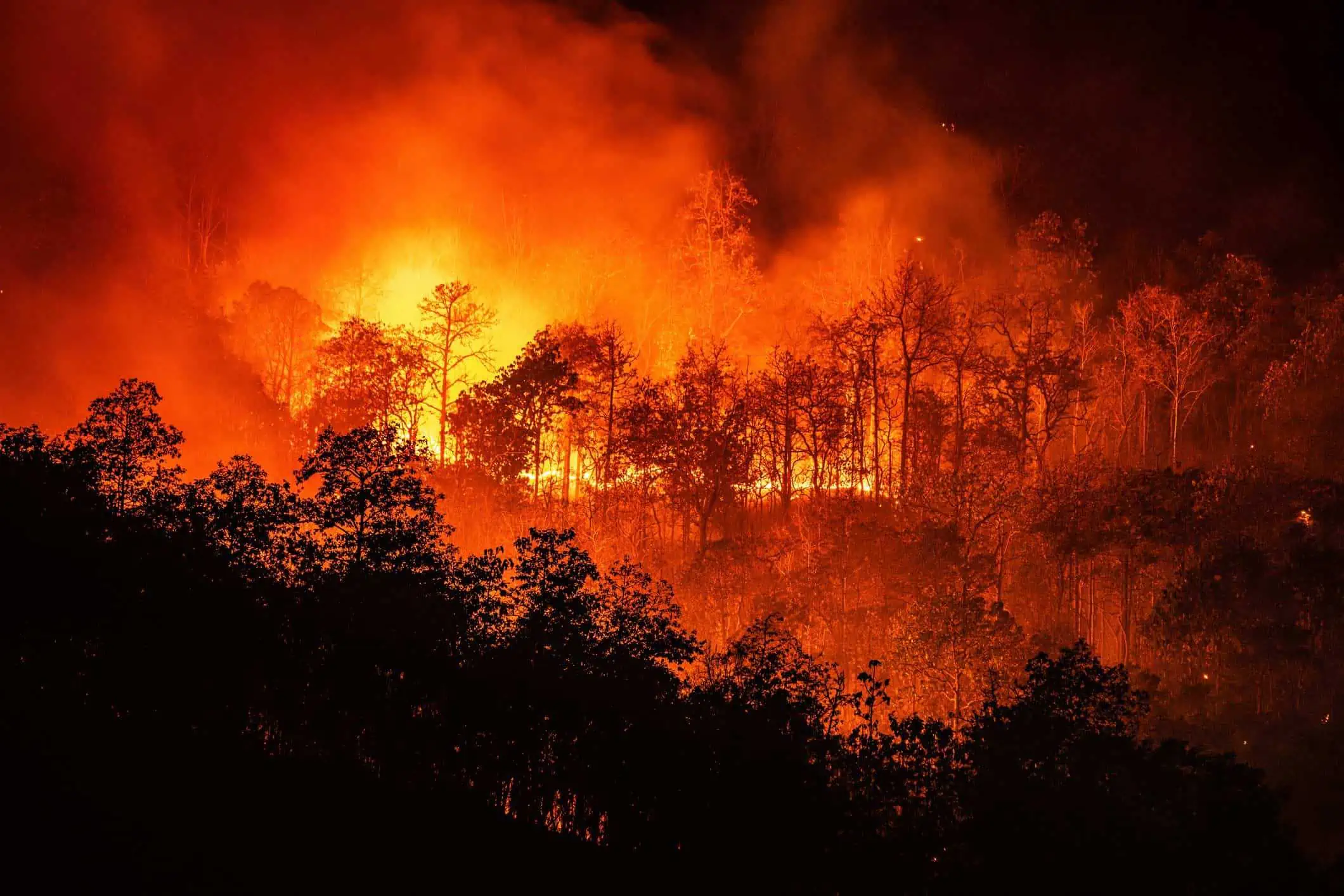 Incendi boschivi: droni al lavoro sul Monte Gambarogno