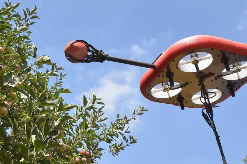 Raccolta di mele: nuovo progetto con droni