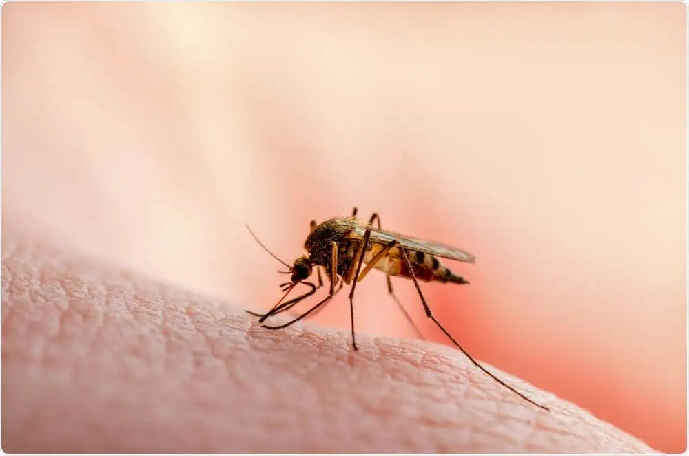 Malaria: a Zanzibar si combatte con i droni
