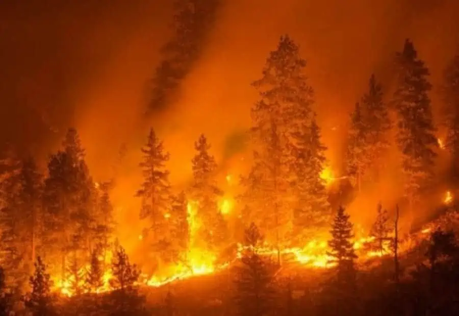 Rilevare incendi boschivi con droni