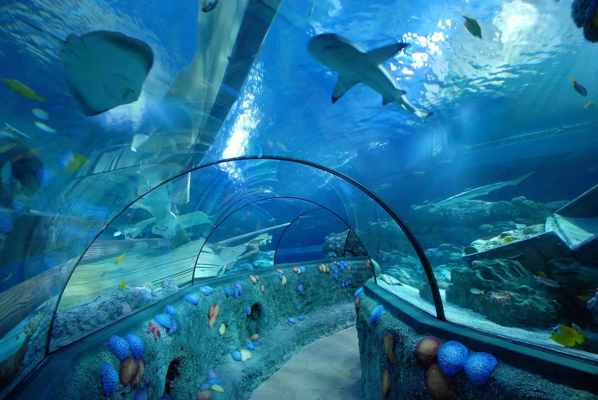 I droni di Gardaland Sea Life Aquarium