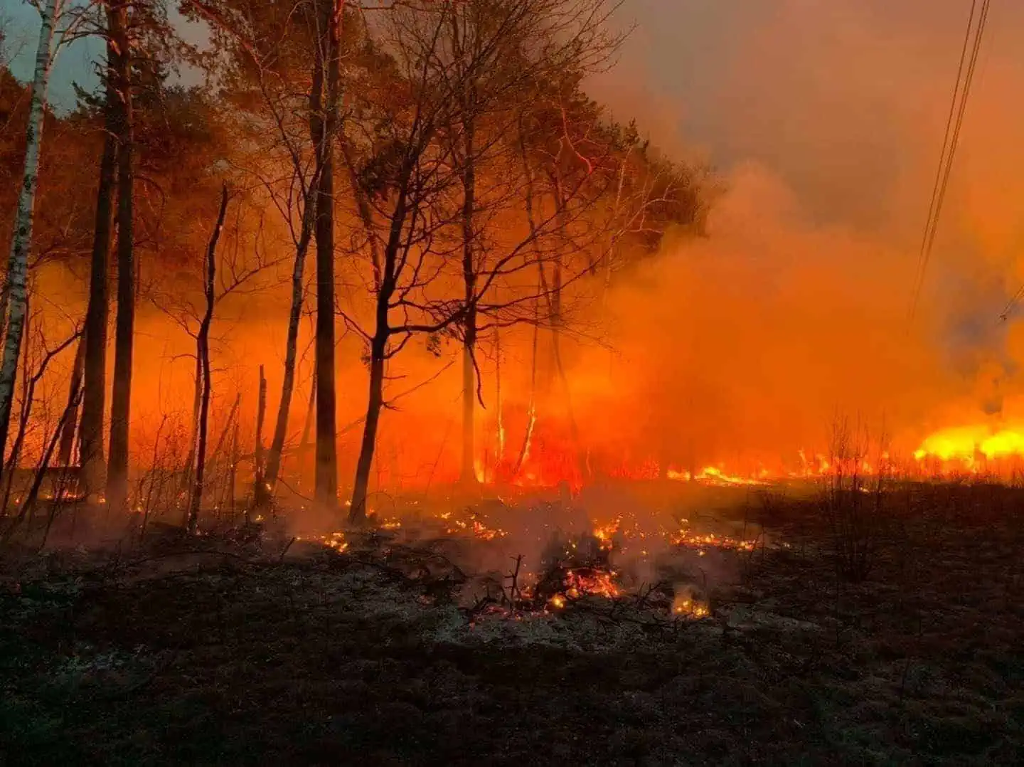 Incendi nei boschi: droni per i vigili del fuoco francesi