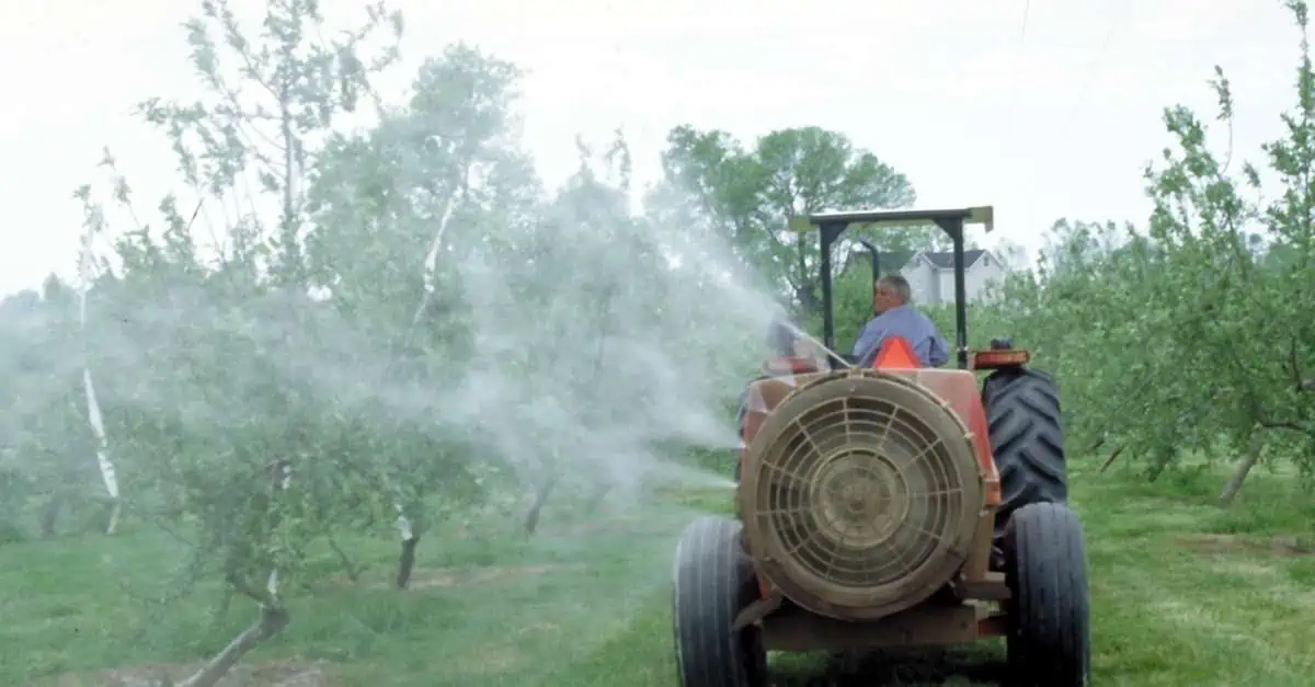 Irrorazione di pesticidi con droni in India