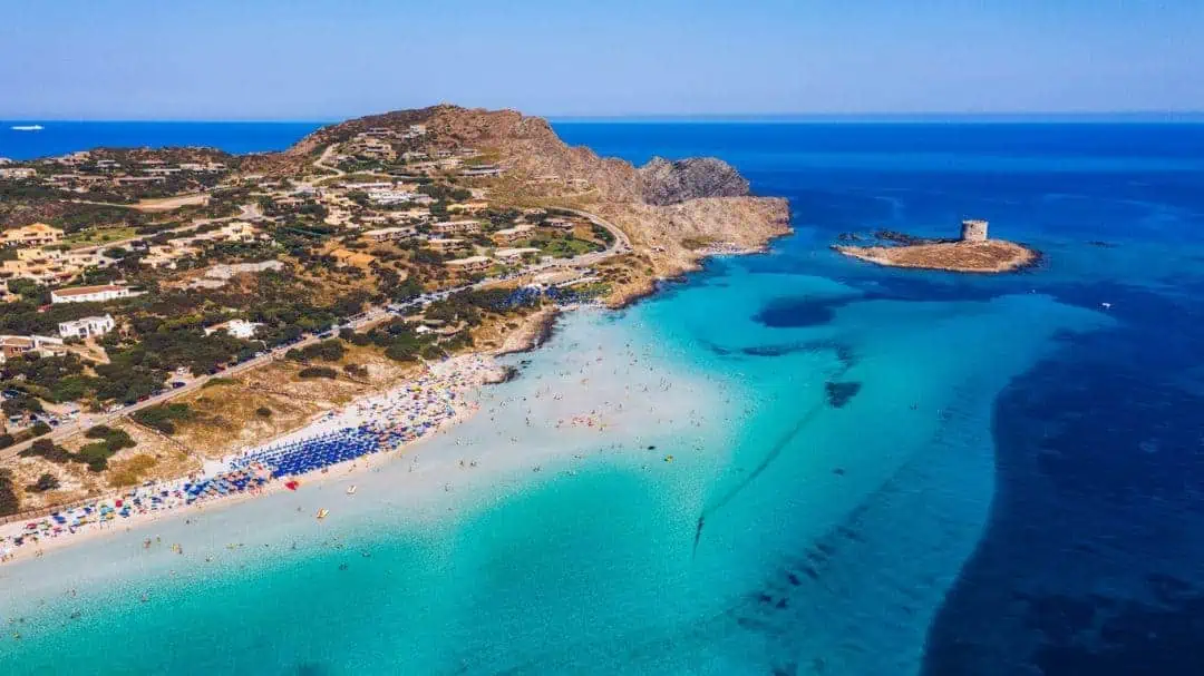 Invasione di cavallette in Sardegna: un aiuto dai droni