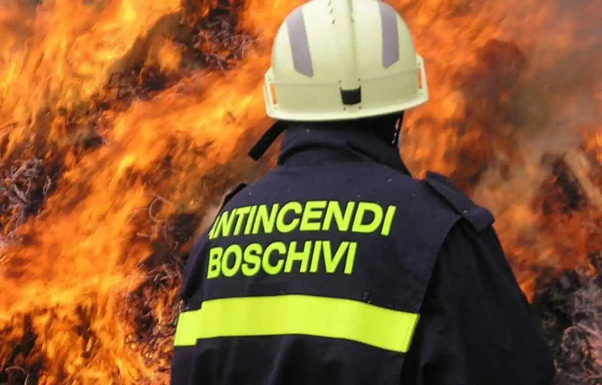 Incendi boschivi in Italia, un aiuto anche dai droni