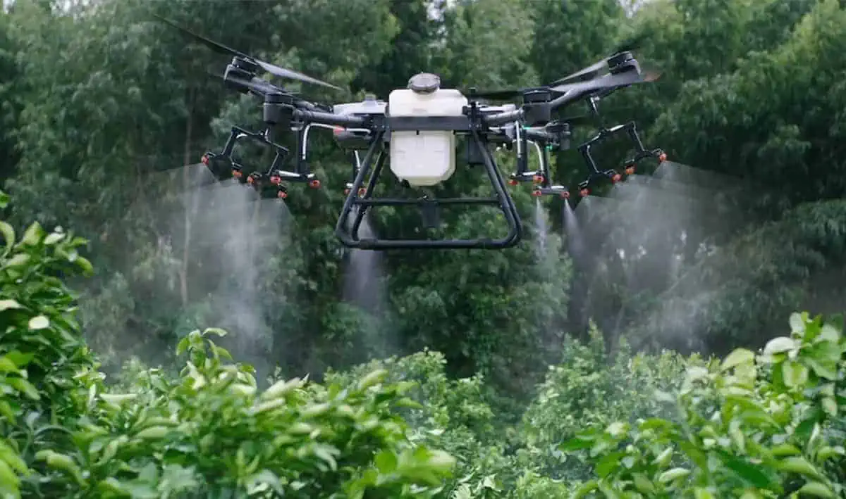 I droni nelle coltivazioni di Olivi in Lombardia