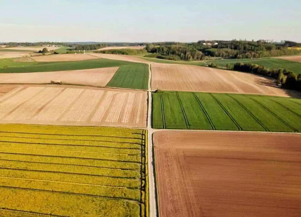 Campi agricoli trattati con droni in Moldavia