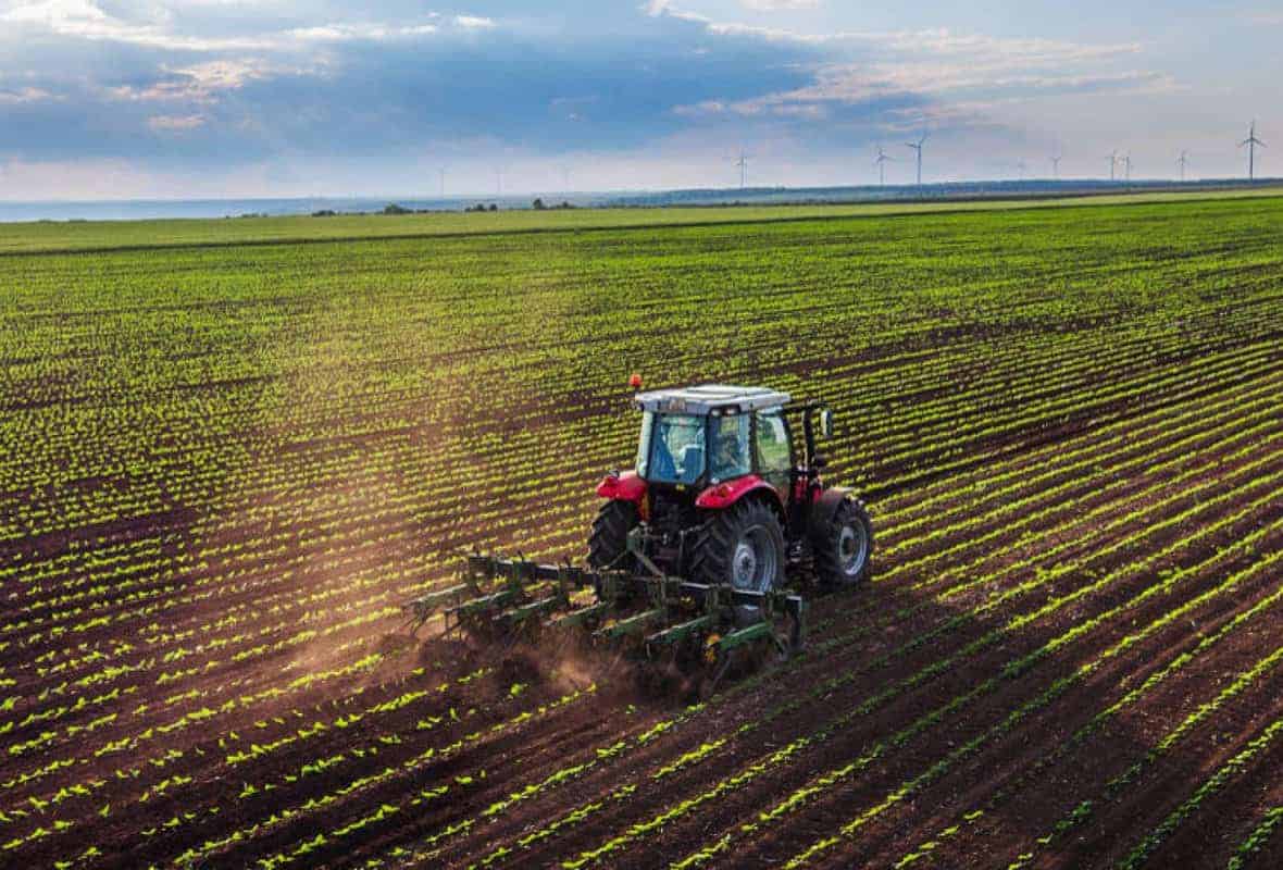 Agricoltura biologica: un supporto dai droni