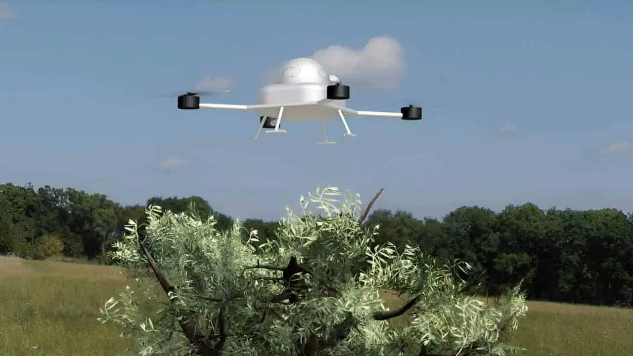 Raccolta olive: un drone al posto degli scuotitori