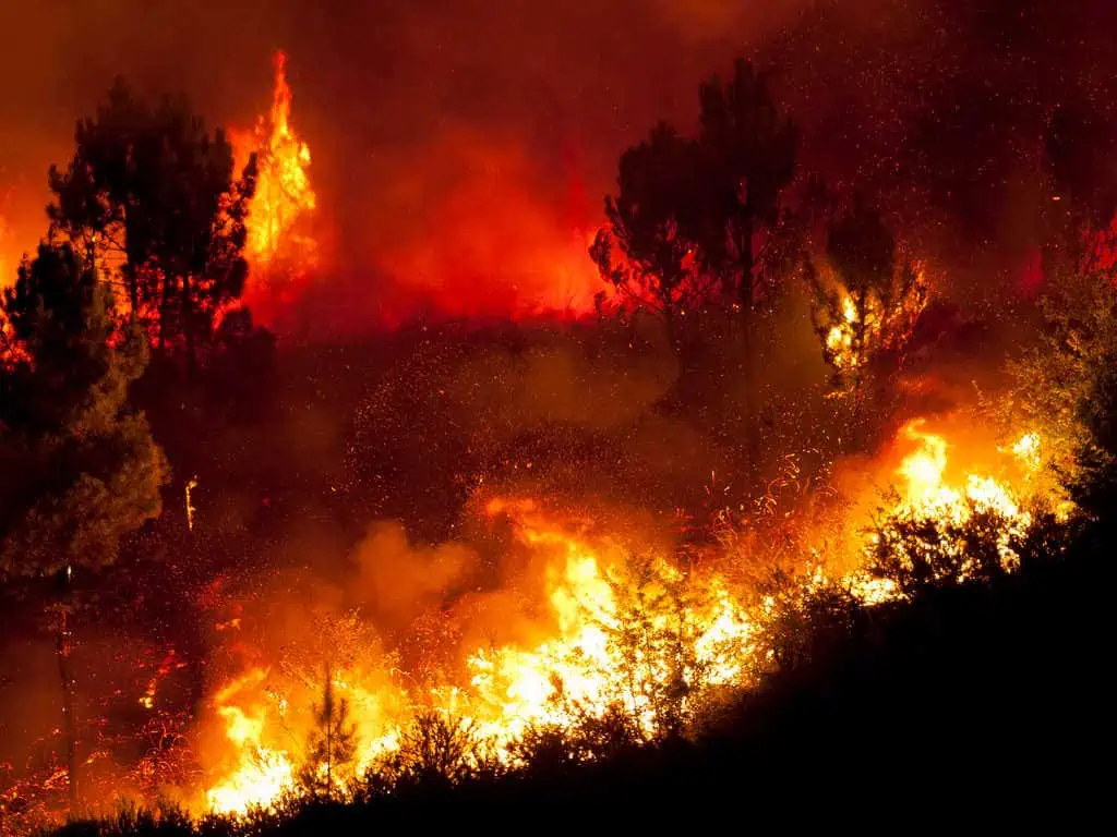 Prevenzione incendi: si punta sui droni
