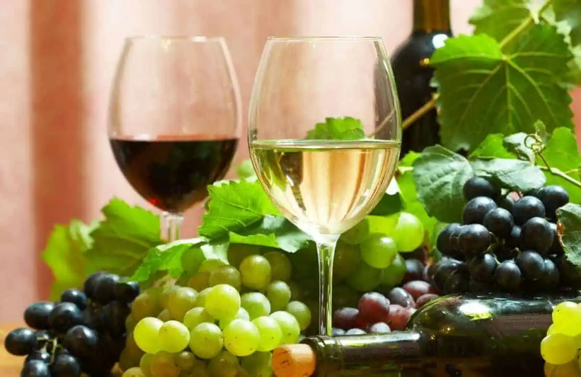 Uva da vino più sana con i droni