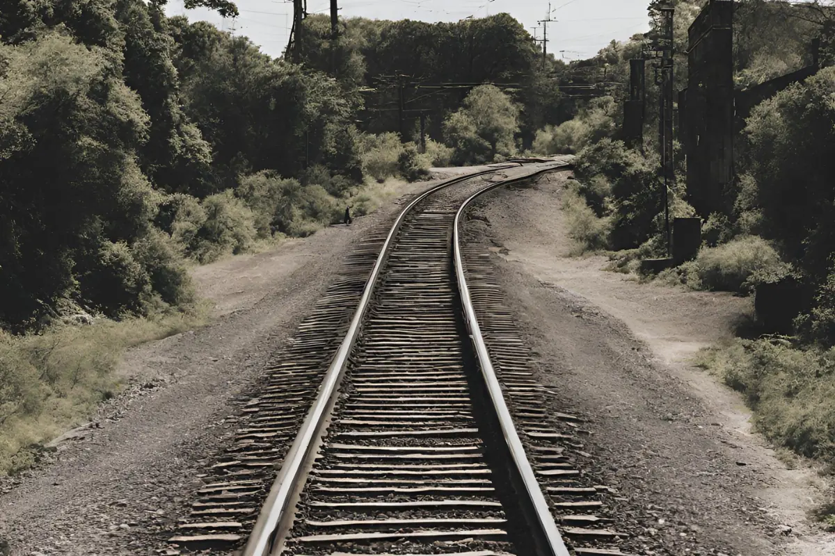 Tutela biodiversità: il progetto con droni di Network Rail