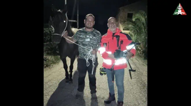 Il drone DJI MATRICE 30T salva due cavalle a Castorano