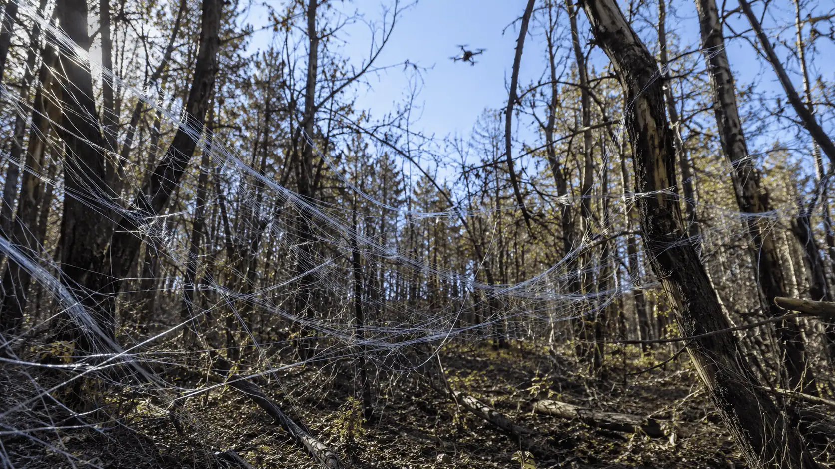 Droni russi con fibra ottica: i cavi invisibili che stanno trasformando le foreste dell'Ucraina